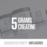 Texture poudre créatine Monohydrate bien mélangée pour l’entraînement