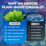 Gommes Saajoor Omega-3 vegan, ingrédients riches en vitamines et zinc.