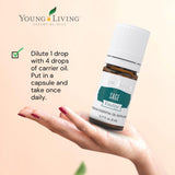 Sage Vitality, bien-être féminin, moments de détente et équilibre