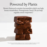 SAKARA Metabolism Super Bar texture chocolat sel marin idéale pour une collation protéinée