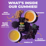 Gommes Sakoon Nutrition, baie de sureau et vitamine pour un apport antioxydant.