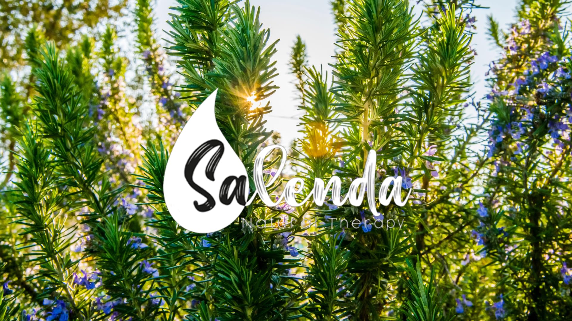 SALENDA huile romarin-usage-car: parfum rafraîchissant en déplacement.