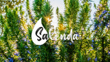 SALENDA huile romarin-usage-car: parfum rafraîchissant en déplacement.