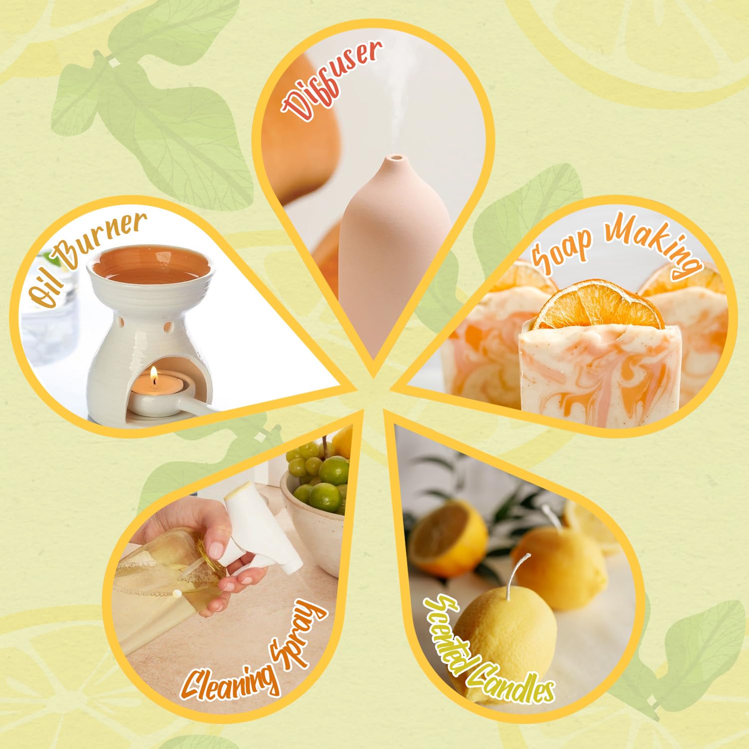 SALKING Citrus Burst Coffret : emballage élégant, cadeau idéal pour amateurs d'huiles.