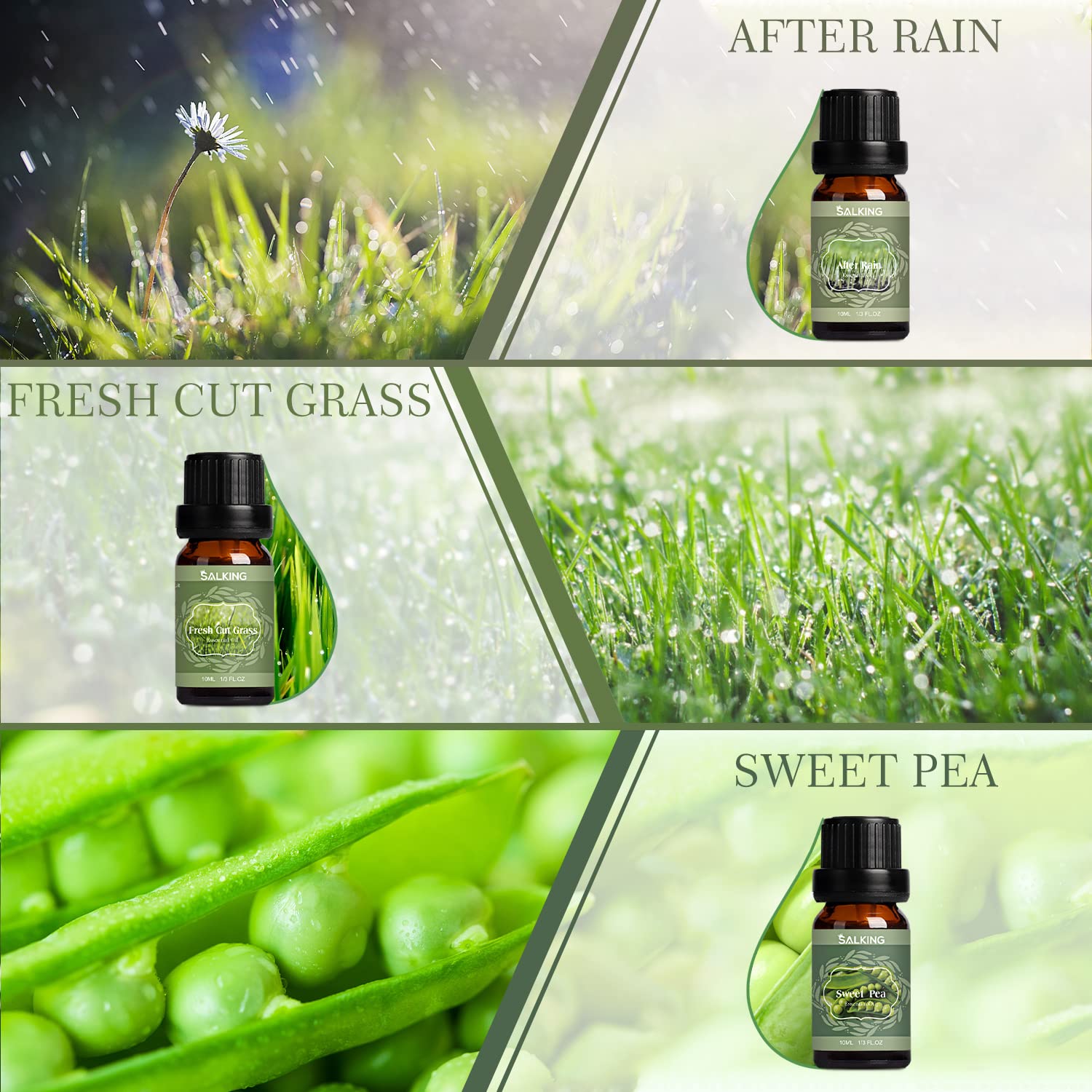 SALKING Coffret Printemps Pois de Senteur: senteurs florales délicates pour espace serein