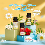 SALKING Pivoine – flacon 10 ml, accords floraux doux pour atmosphère élégante.