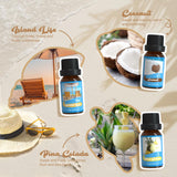 SALKING noix-de-coco en bouteille – note tropicale idéale pour diffuser.