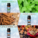 SALKING – huile canneberge hivernale pour diffusion festive et rafraîchissante