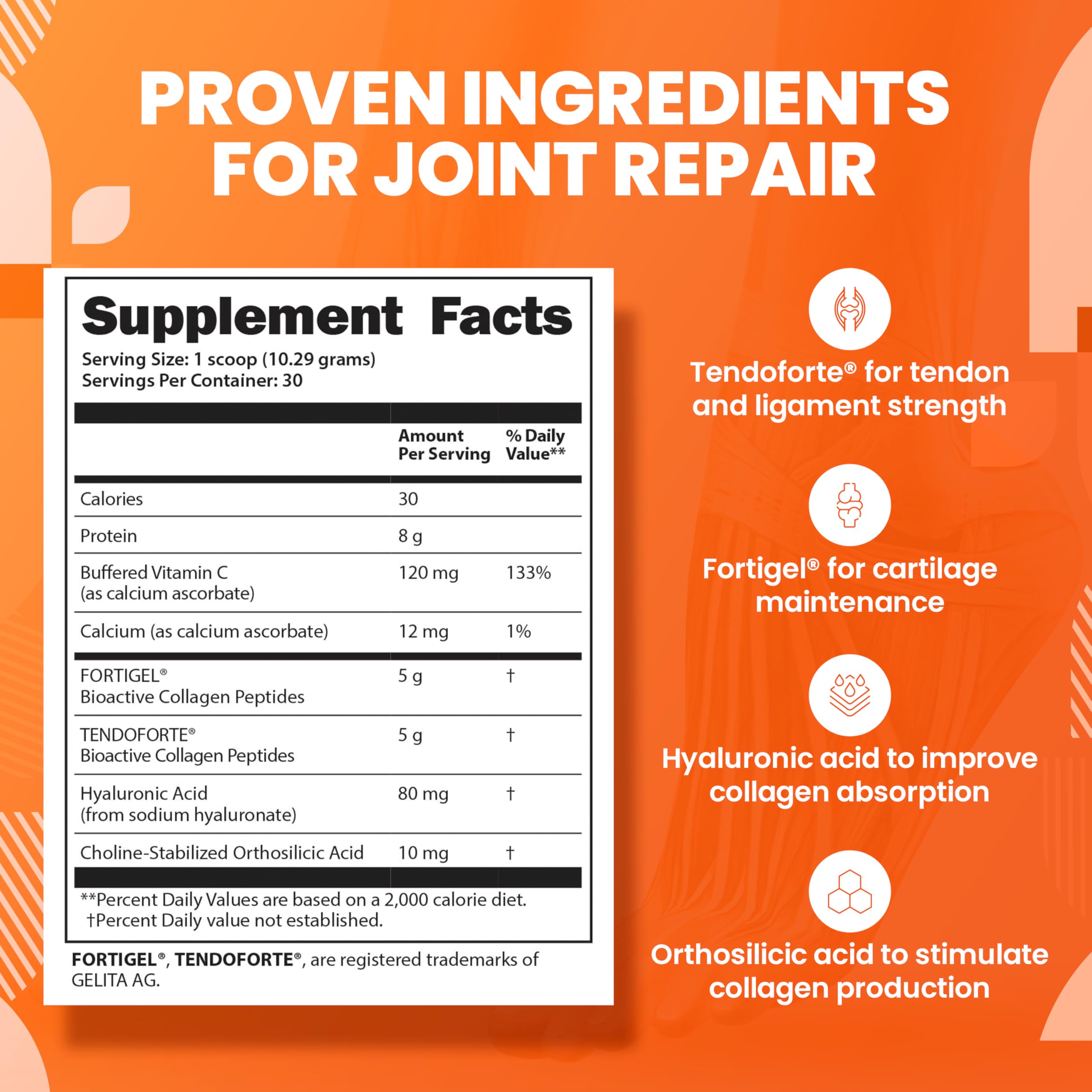 SaltWrap Collagen Synthesis cuillère-dose pour dosages quotidiens simples.