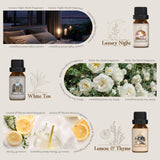 Salubrito bouteilles parfum hôtel lobby, puissance et présence pour des espaces accueillants.