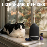 Salubrito diffuseur bureau et salon parfum agréable