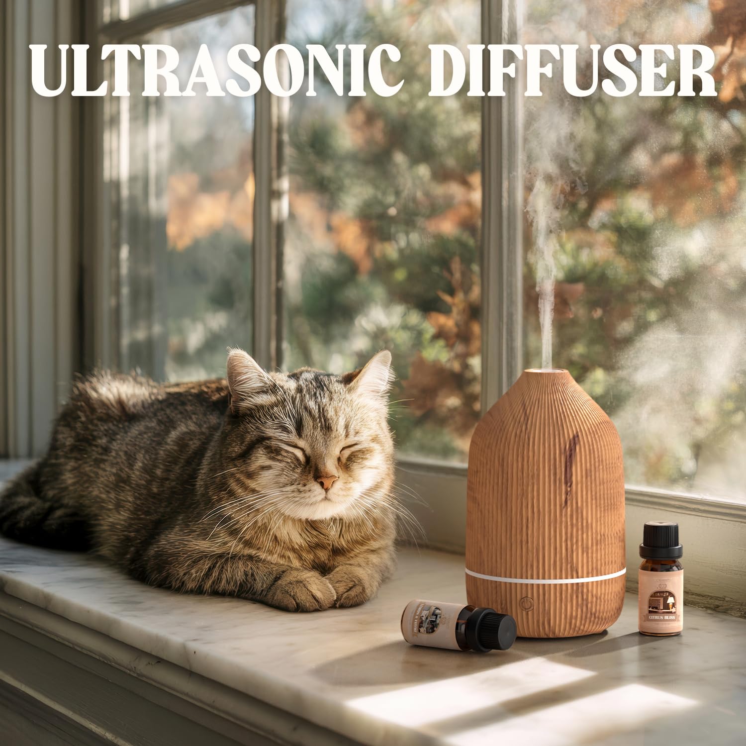 Salubrito diffuseur idéal pour bureau zen et concentration accrue