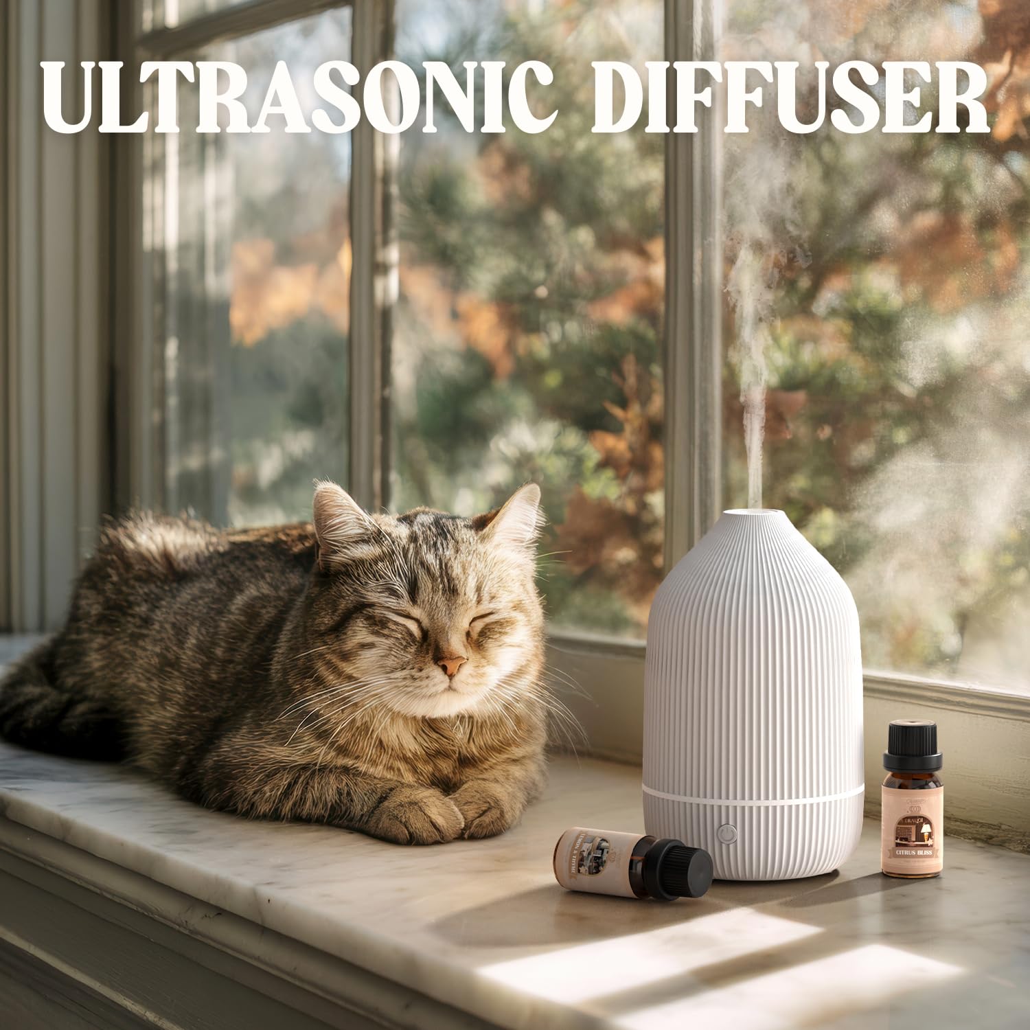 Salubrito diffuseur maison: crée une ambiance relaxante à domicile.