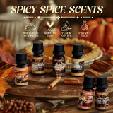 Salubrito huile cannelle pour diffusion chaleureuse et bougies faites maison.