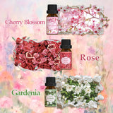 Salubrito huile rose pour diffuseur, senteur romantique et enveloppante