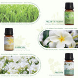 Salubrito huiles printemps diffusion créative, idées faits maison pour sprays et savons.