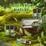 Salubrito Nature huile brise-ocean: parfum frais pour rafraîchir l’espace