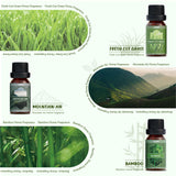 Salubrito Nature huile herbe-fraiche: parfum vert pour sprays et bougies maison