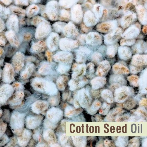 Salvia huile coton soin corps: hydratant léger, sans fini gras.