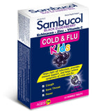 Sambucol Enfant Ingrédients Sureau Noir Echinacée Zinc – profil naturel