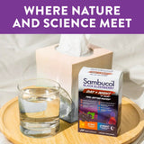 Feuille-lierre Sambucol-ingredient, association naturelle pour le confort respiratoire.