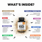 Gélules Sandhu’s L-Arginine et Ginseng, usage quotidien facilité.