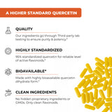 Capsules 500 mg – détails visibles, faciles à avaler pour une utilisation régulière.