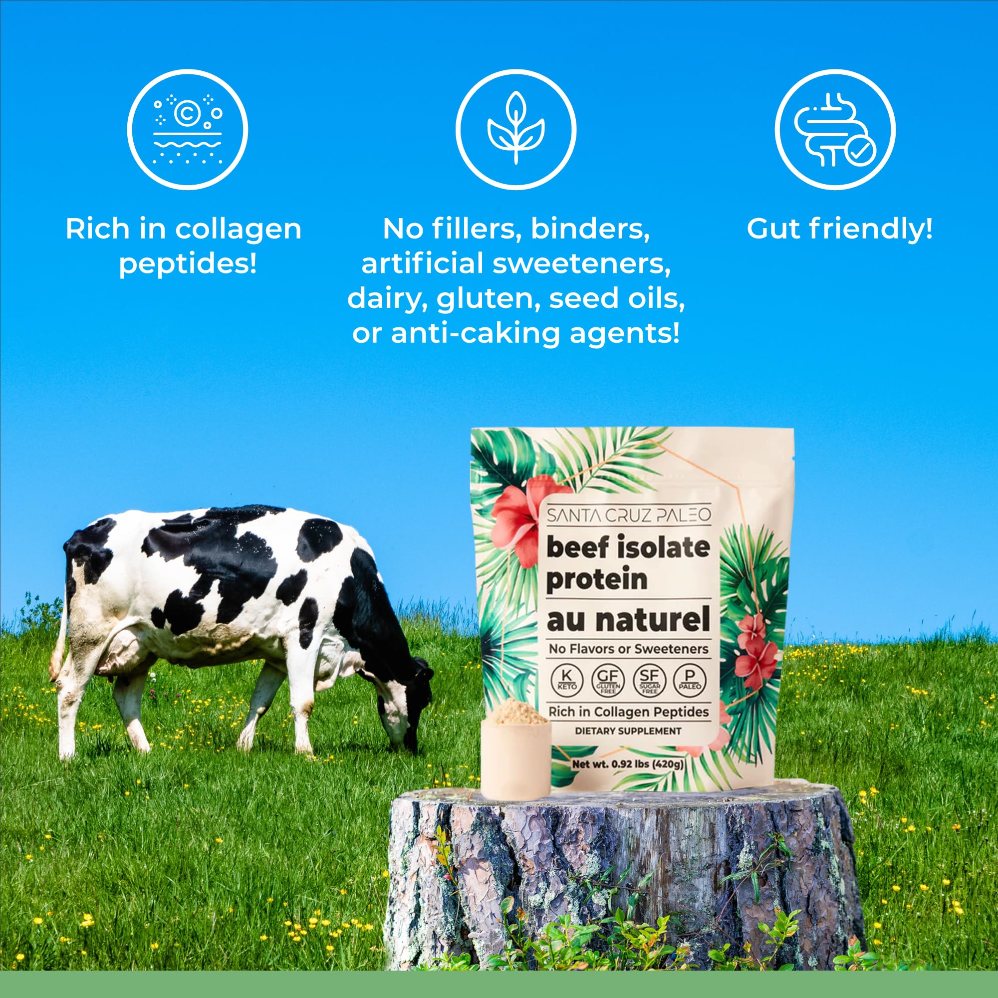 Mélange Santa Cruz Paleo Boeuf Isolate Au Naturel dans boisson protéinée après séance.