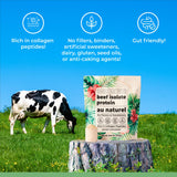 Mélange Santa Cruz Paleo Boeuf Isolate Au Naturel dans boisson protéinée après séance.
