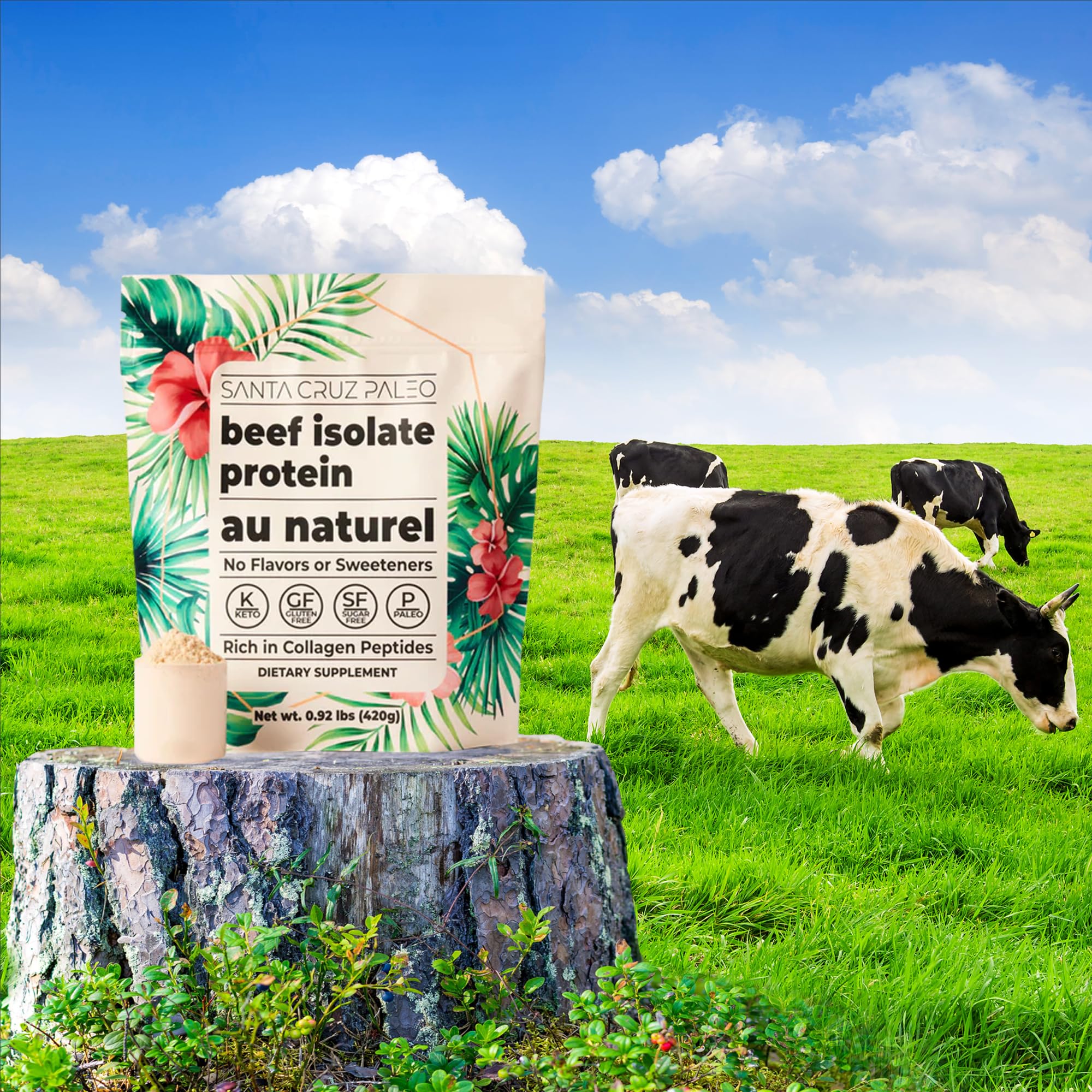 Shake rafraîchissant après l'entraînement avec Santa Cruz Paleo Boeuf Isolate Au Naturel.