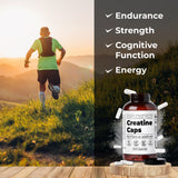 Gélules Santa Cruz Paleo Créatine, pack de 300 capsules, usage pratique.