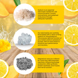 Santa Cruz Paleo Electrolyte Poudre mangue-limonade saveur tropicale rafraîchissante