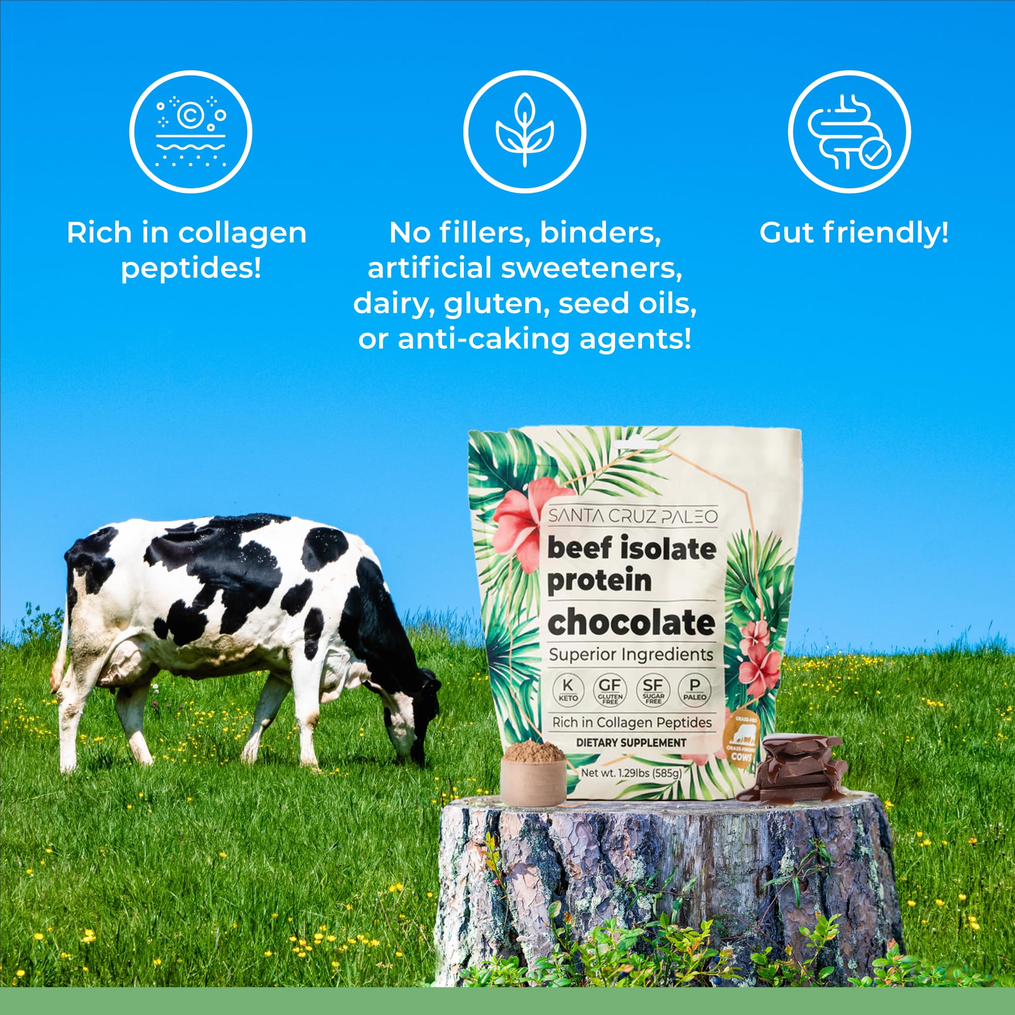 Santa Cruz Paleo ingredients-sans-lait: protéine du boeuf sans lactose et digestible.