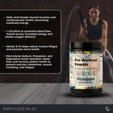 Santa Cruz Paleo mesure-poudre pour dosage exact avant entraînement.