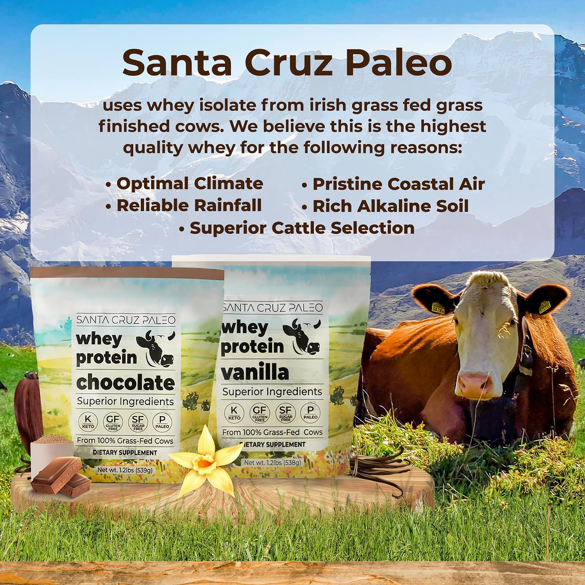 Santa Cruz Paleo protéine chocolat dosette mesure facile après l’entraînement