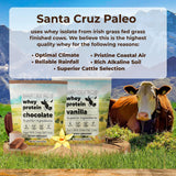 Santa Cruz Paleo protéine chocolat dosette mesure facile après l’entraînement