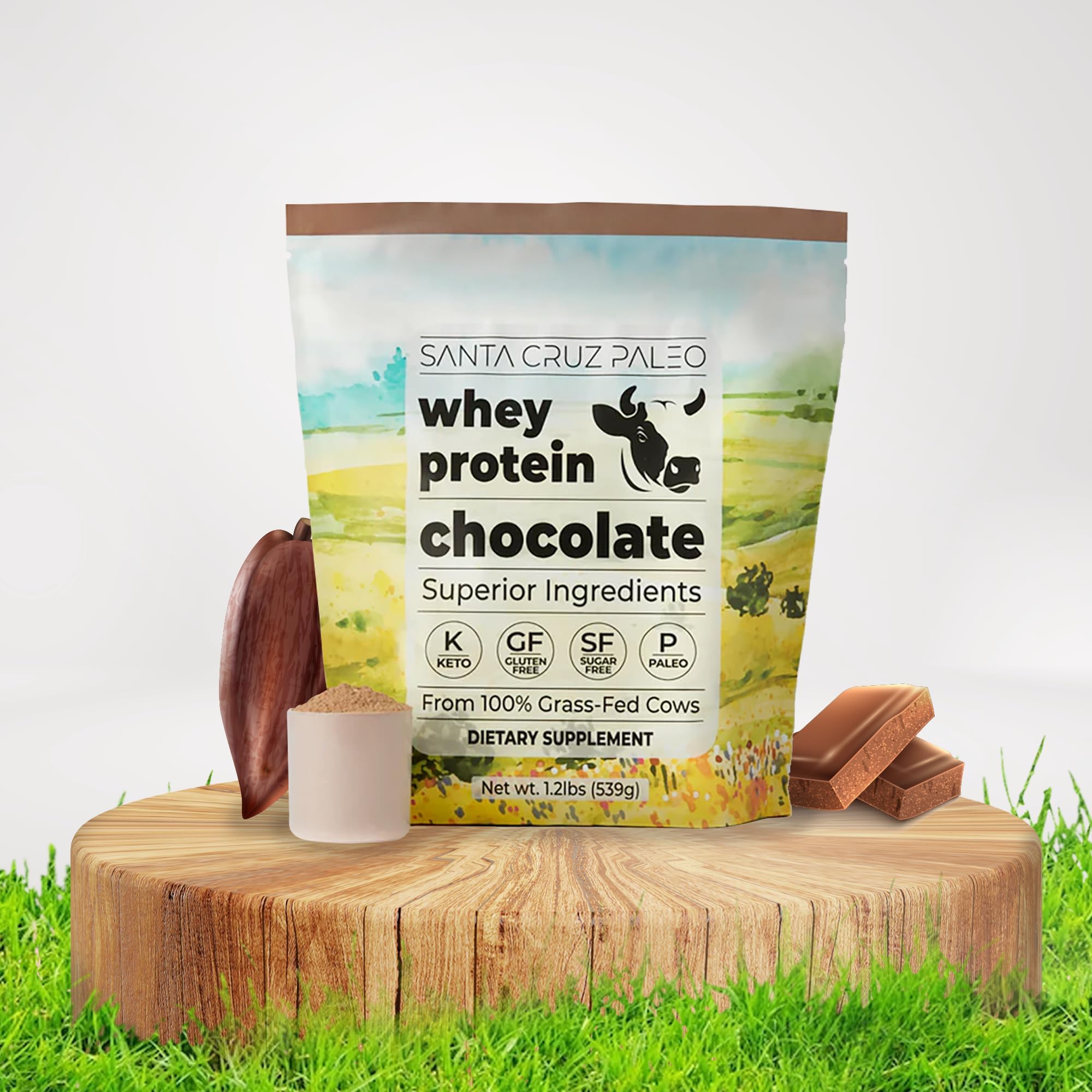 Santa Cruz Paleo protéine chocolat mélange lait boisson onctueuse pour le petit-déjeuner