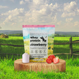 Santa Cruz Paleo Whey Fraise – ingrédients naturels sans additifs artificiels