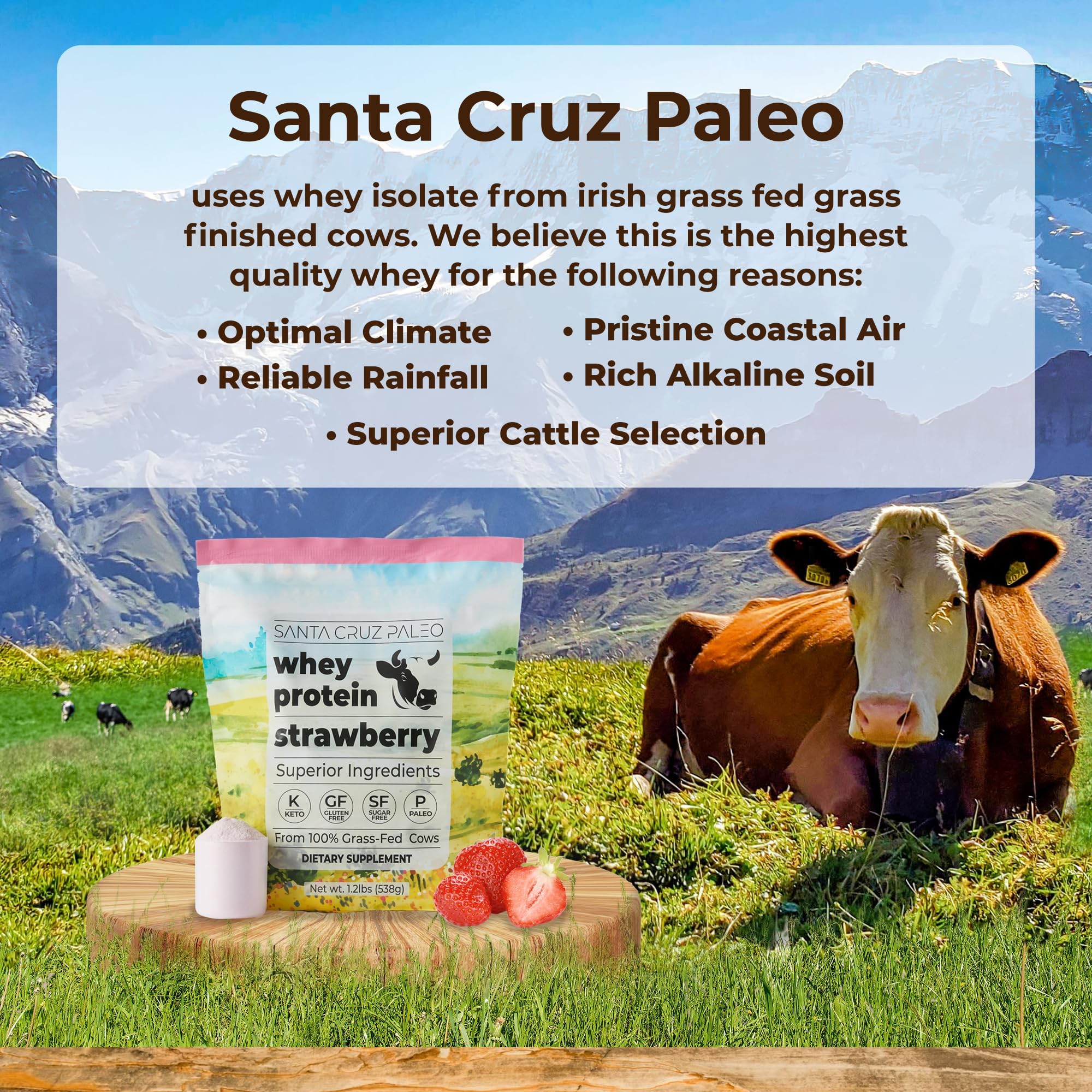 Santa Cruz Paleo Whey Fraise – verre prêt à shaker après l’entraînement