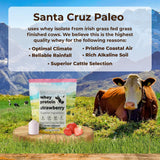Santa Cruz Paleo Whey Fraise – verre prêt à shaker après l’entraînement