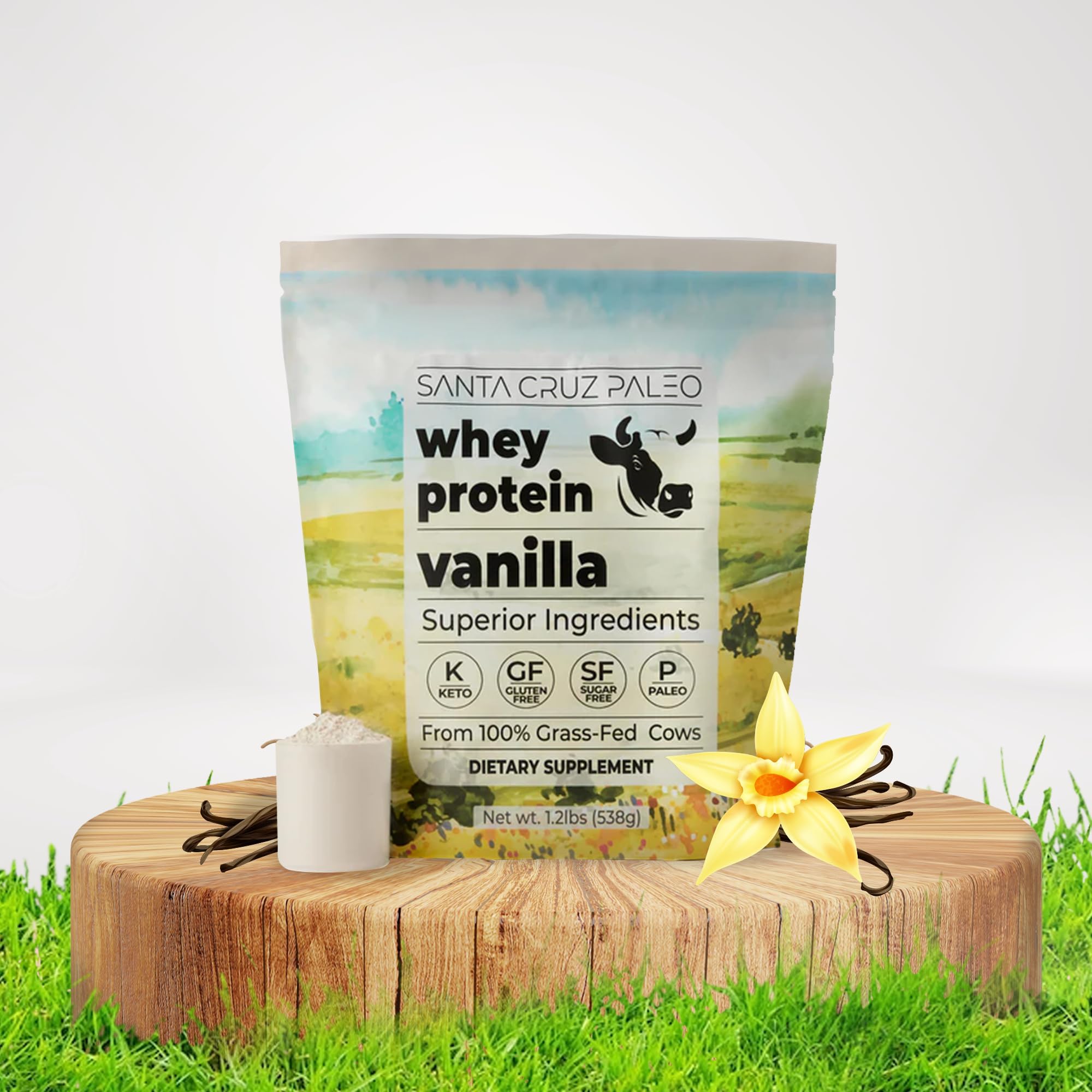 Santa Cruz Paleo Whey Vanille – gâteau maison moelleux et protéiné