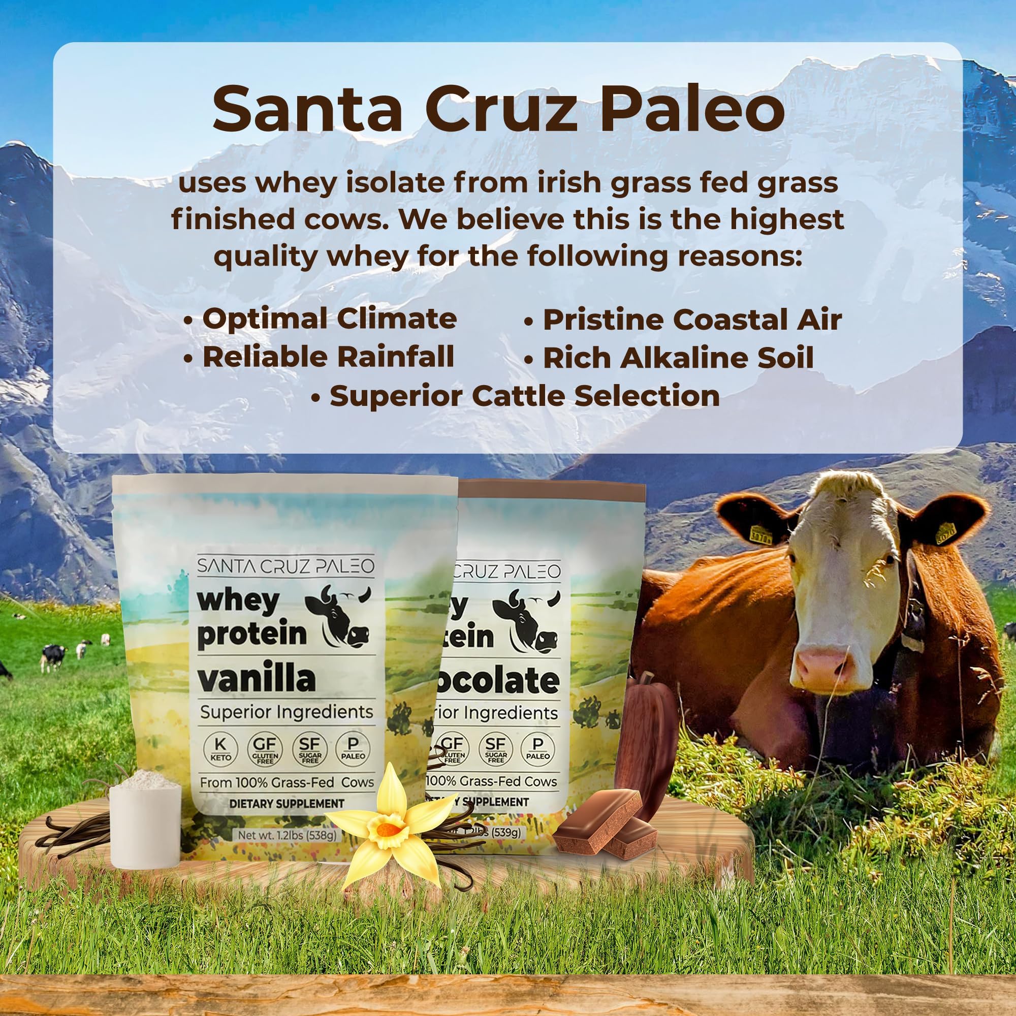 Santa Cruz Paleo Whey Vanille – mélange lisse pour shakes et yaourts