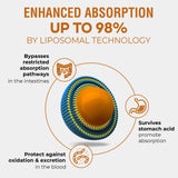 Santegra ashwagandha-éleuterocoque – composition naturelle et équilibre potentiel.