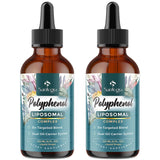 Santegra Polyphénols Liposomale – versement facile dans la bouteille pour énergie durable.