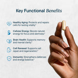 Santo Remedio Guarana – comprimés énergie naturelle et concentration.