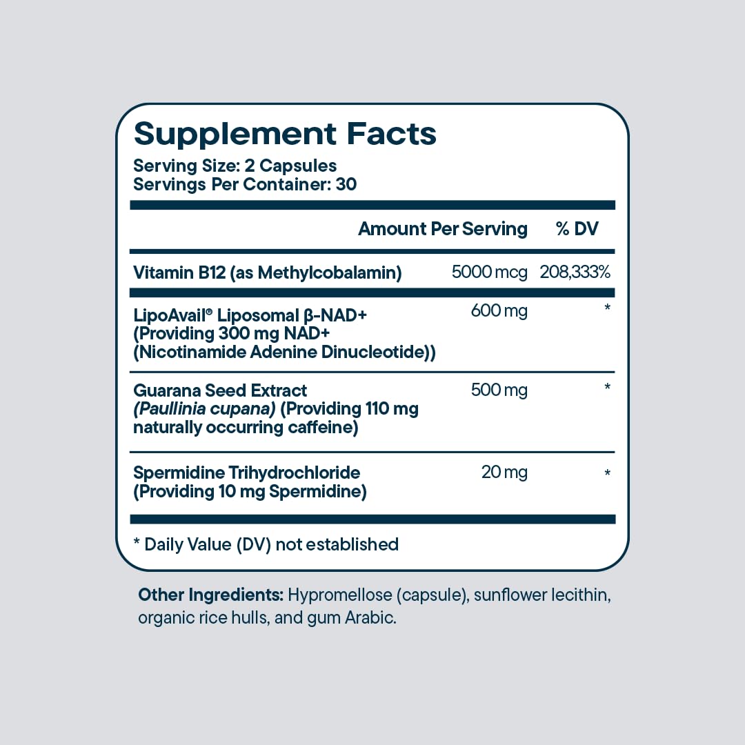 Santo Remedio Vitamine B12 – démarrage rapide et énergie cognitive.
