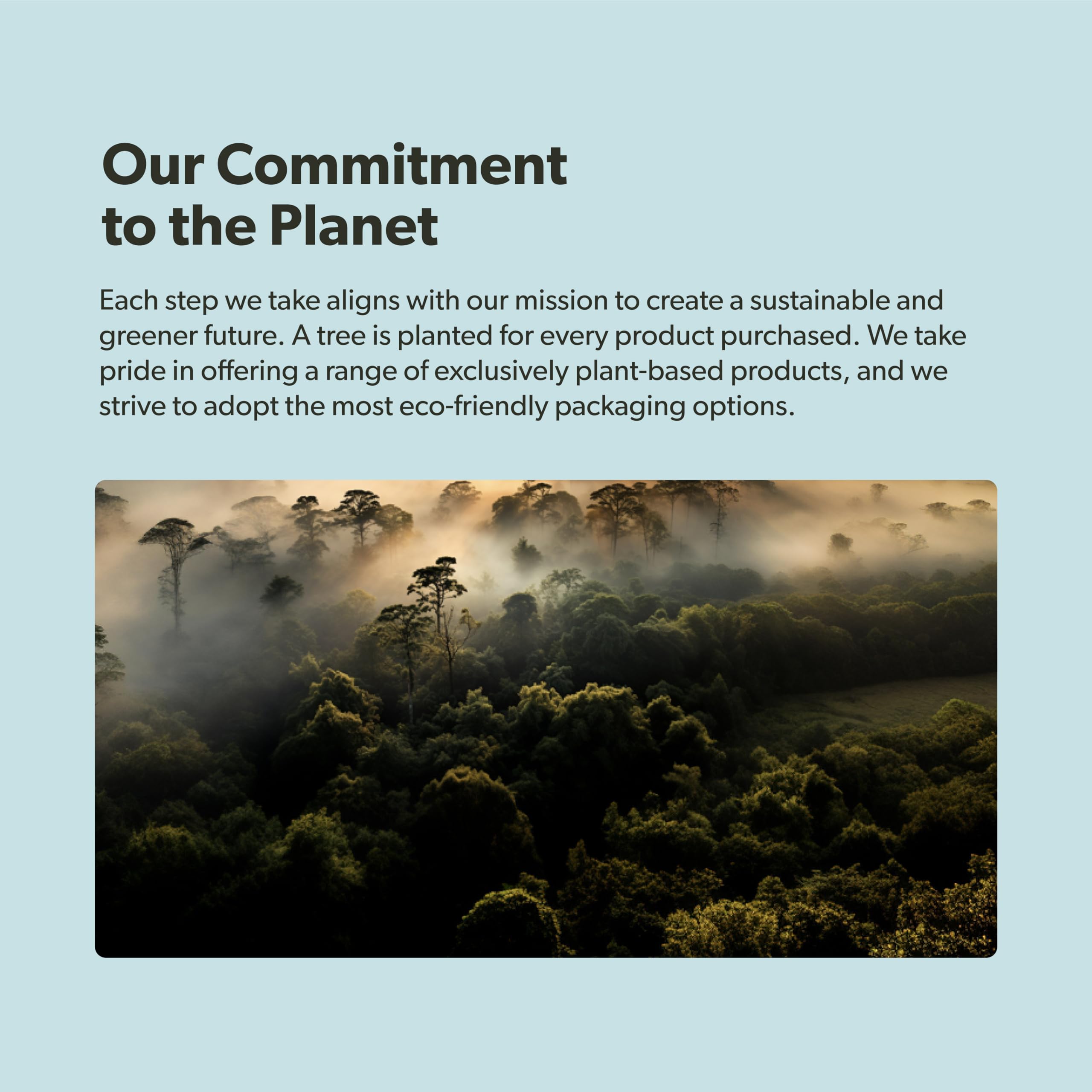 Sapling Initiative environnementale - arbre planté pour chaque achat.