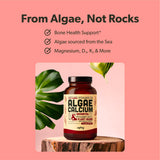 sapling Calcium: étiquette nutritionnelle claire et informatrice.
