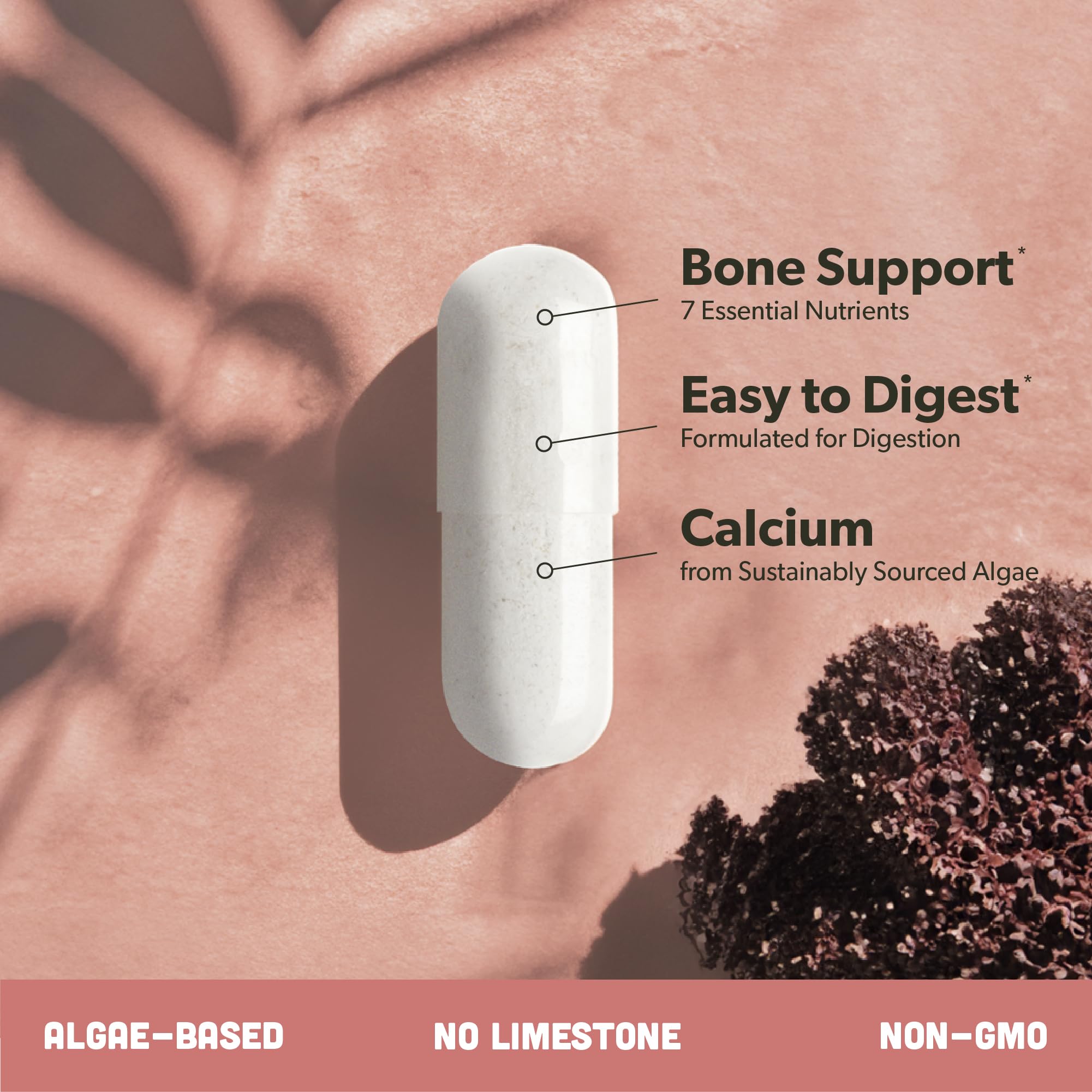 sapling Calcium: ingrédients riches en calcium d’origine végétale.