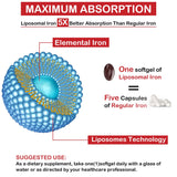Sapotax Liposomal Fer: absorption potentiellement améliorée grâce au liposome